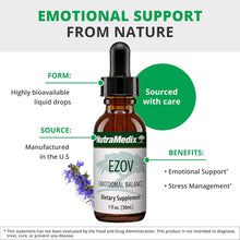 Ezov Hyssop Plant Drops - Liquid Supplement for Stress Management, Relaxation, Antioxidant Support & Gut Health - Liquid Herb Extract for Mood & Emotional Support (1Oz / 30Ml)