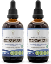 Wheatgrass Tincture Alcohol-Free Extract, High-Potency Herbal Drops, Tincture Made from USDA Organic Triticum Aestivum Health and Wellness/Soothing Effect 2X4 Oz