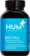 Big Chill - Calming Supplement with Rhodiola Rosea for Stress & Mood Support - Balances Adrenal Health for Improved Stress Response (30-Day Supply)