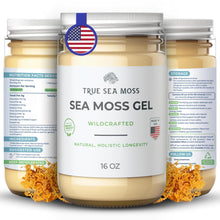 Wildcrafted Irish Sea Moss Gel - Made with Dried Seaweed - Seamoss, Vegan-Friendly, - Antioxidant Supports Thyroid & Digestion - Made in USA (Original, Pack of 1)