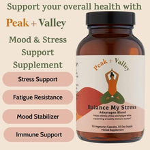 Stress Relief Supplement for Mood Support Balance My Stress Capsules - Contains Adaptogens, Ashwagandha, Eleuthero Root, Reishi Mushroom Supplement - Natural Mood Stabilizer - 90 Ct