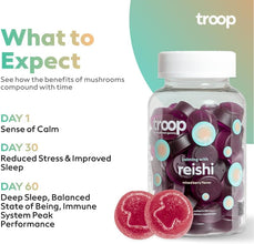 Daily Mushroom Reishi Gummy for Stress Management, Calm, Sleep, Healthy Aging - Adaptogen & Immune Boosting Supplement with Triple Extracted Reishi Fruit Body- Vegan, Delicious Gummies, 60 Count