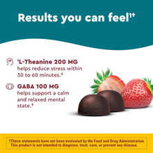 Wellblends Stress Relief Gummies, L Theanine 200Mg to Help Reduce Stress, with GABA 100Mg, Same Day Stress Support, 40 Strawberry Flavor Gummies