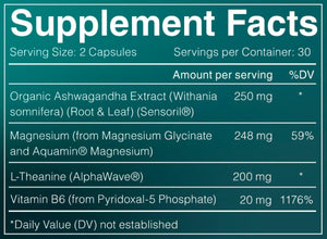 , 5 Clinically Studied Ingredients: Organic & Patented Ashwagandha, 2 Forms of Magnesium, Patented L-Theanine, and Methylated Vitamin B6