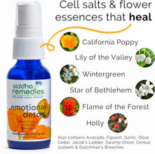 Remedies Emotional Detox Homeopathic Oral Spray for Melancholy, Irritability & Mental Fatigue | 100% Natural Homeopathic Medicine Remedy with 12 Flower Essences for Cleansing Mind