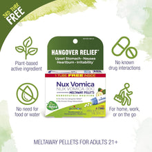 Nux Vomica 30C for Hangover Relief (3 Count) + Bryonia 30C for Joint and Muscle Pain Relief (3 Pack)