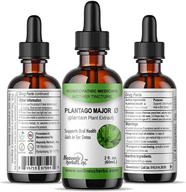 Heavenly Herbals Plantago Major Q - Mother Tincture - Supports Oral Health, Aids in Ear Detoxification - 2.0 Fl Oz - Manufactured and Shipped from USA.