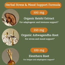 Stress Relief Supplement for Mood Support Balance My Stress Capsules - Contains Adaptogens, Ashwagandha, Eleuthero Root, Reishi Mushroom Supplement - Natural Mood Stabilizer - 90 Ct