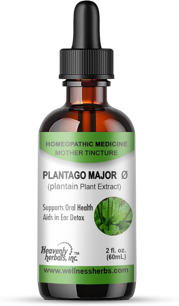 Heavenly Herbals Plantago Major Q - Mother Tincture - Supports Oral Health, Aids in Ear Detoxification - 2.0 Fl Oz - Manufactured and Shipped from USA.