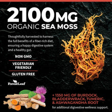 Organic Irish Sea Moss with Bladderwrack and Burdock Root - Sea Moss Capsules with Organic Turmeric & Ashwagandha Root, Superfood for Digestive (90 Count (Pack of 1))