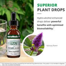 Ezov Hyssop Plant Drops - Liquid Supplement for Stress Management, Relaxation, Antioxidant Support & Gut Health - Liquid Herb Extract for Mood & Emotional Support (1Oz / 30Ml)