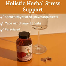 Stress Relief Supplement for Mood Support Balance My Stress Capsules - Contains Adaptogens, Ashwagandha, Eleuthero Root, Reishi Mushroom Supplement - Natural Mood Stabilizer - 90 Ct